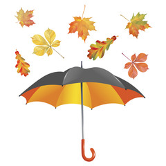 Open umbrella and leaf fall isolated on white background. Vector Illustration