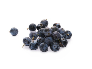 Fresh blackthorn berries pile isolated on white background