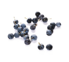 Fresh blackthorn berries pile isolated on white background