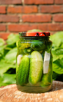Glass jars of pickled homemade organic cucumber with horseradish and fennel
