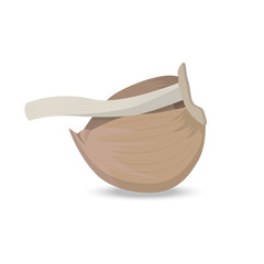 Clove of garlic with a branch of a head