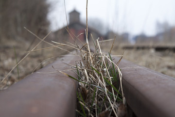 Abandoned railway
