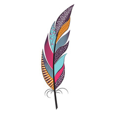 Large colored feather with patterns
