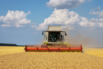 Fototapeta premium Close view of modern combine harvester in action.