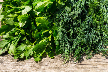 Fresh green dill and parsley herbs on rustic wooden table