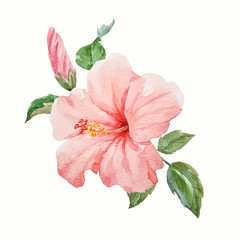 Watercolor tropical hibiscus flower - obrazy, fototapety, plakaty