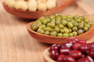 collection of legumes