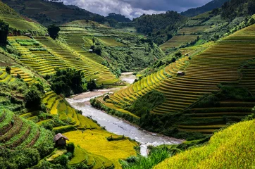 Printed roller blinds Rice fields Rice fields on terraced of Mu Cang Chai District, YenBai province, Northwest Vietnam