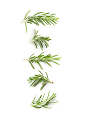 Rosemary twig top view