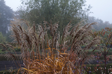 Fototapeta premium Autumn in Malmö