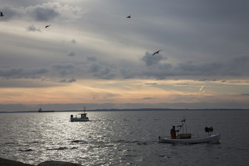 Obraz premium Evening in Skåne