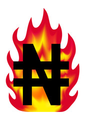 通貨記号／ナイラマーク