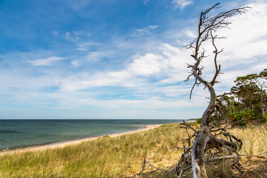 Beautiful island landscape summer view of sea, beach, sky and nature. Seen from a hill at the national park Gotska sandon Sweden.