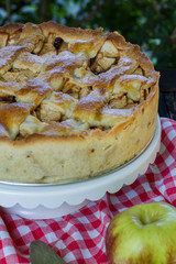 Traditional dutch apple pie. Wooden table in the garden. White and blue plates.