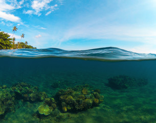 Double landscape with sea and sky. Split photo with tropical island and underwater coral reef.