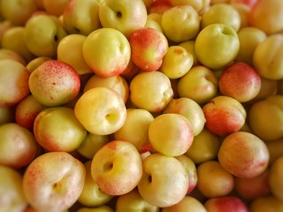 pile of many delicious yellow and red plums