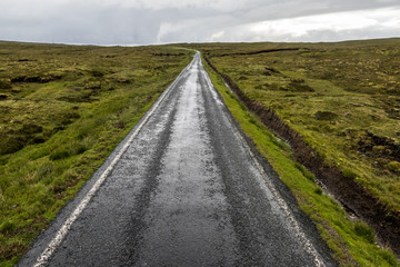 最果てへ続く道　 farthest path of the tundra area