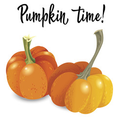 Two orange pumpkin isolated on white background. Vector Illustration