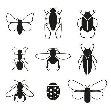 Insects vector set silhouette icons
