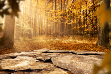 autumn space 