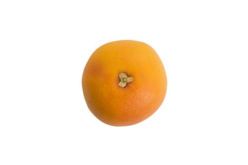 Grapefruit
