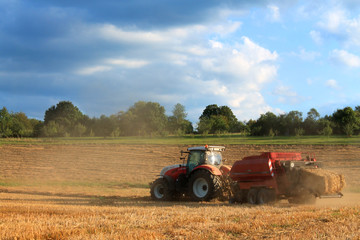 Obraz premium agriculture