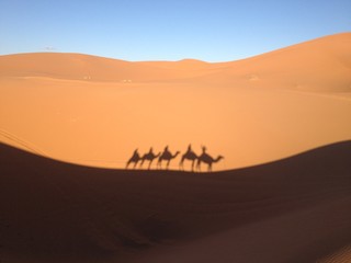 Fototapeta na wymiar Sahara Maroc merzouga