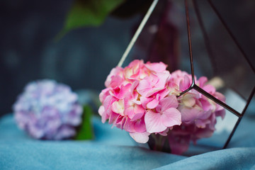 Hydrangeas in an aquarium and a vase stand on the table