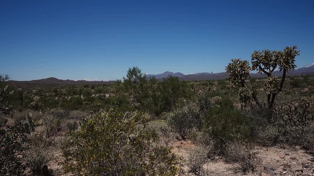 A day exterior (DX) establishing shot of the Arizona desert with the Superstition Mountain range and Weaver's Needle in the distance. 