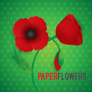 Paper flower realistic style illustration of red poppy