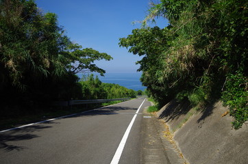 海へ下りる田舎道