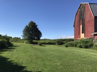 Obraz premium Country Living at its Best