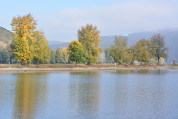 Fototapeta na wymiar River rhine with golden leaves