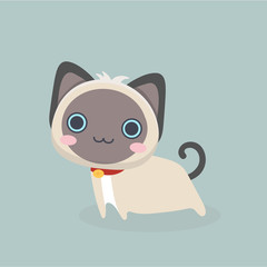 Siamese cat the Lovely kitten with blue eyes fluffy.