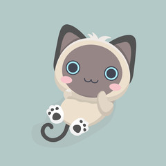 Siamese cat the Lovely kitten with blue eyes fluffy.