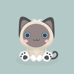 Siamese cat the Lovely kitten with blue eyes fluffy.