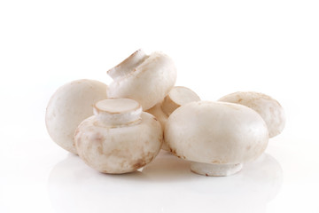champignon isolated on white background