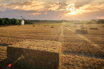 Sunset over a a wheat field in the harvest time. Sunset with rays of light, Germany.