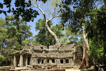 Ankor Wat Kambodscha