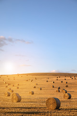 hay-roll on meadow against background