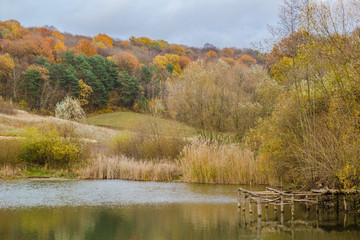 Colorful trees in autumn forest near lake