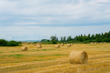 Hay packed in rolls