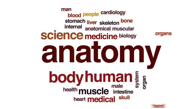 Anatomy animated word cloud, text design animation.