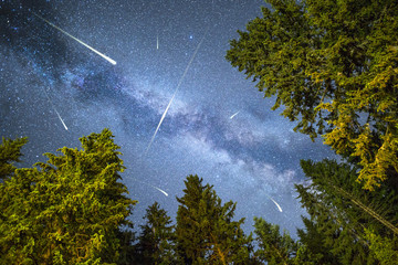 Pine trees silhouette Milky Way meteor shower