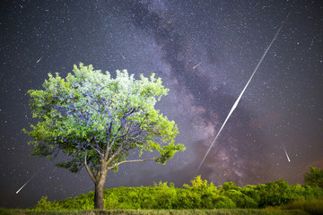 A view of a Meteor Shower and the Milky Way. Green plum tree with plums high in the mountain in the...