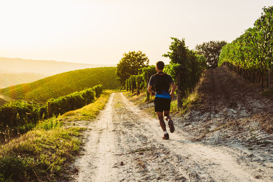 Man trail running in the vineyards at the sunset