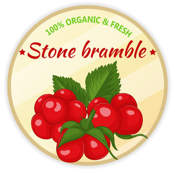 Vintage label with stone bramble isolated on white background in cartoon style. Vector illustration. Fruit and Vegetables Collection.