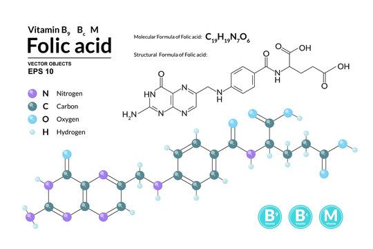 Structural chemical molecular formula and model of Folic acid. Atoms are represented as spheres with color coding isolated on background. 2d, 3d visualization and skeletal formula. Vector illustration