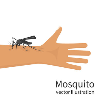 Mosquito bite on skin hand human. Insect bites man in arm. Template dangers Zika virus. Drinks the blood. Bloodsucking pest. Vector illustration flat design. Isolated on background. Malaria epidemic.