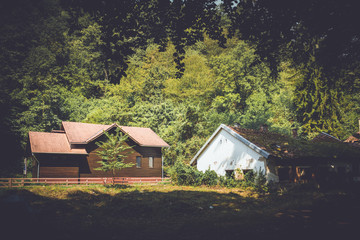 Fototapeta na wymiar Abandoned hut from Vadu Crisului, Bihor, Romania